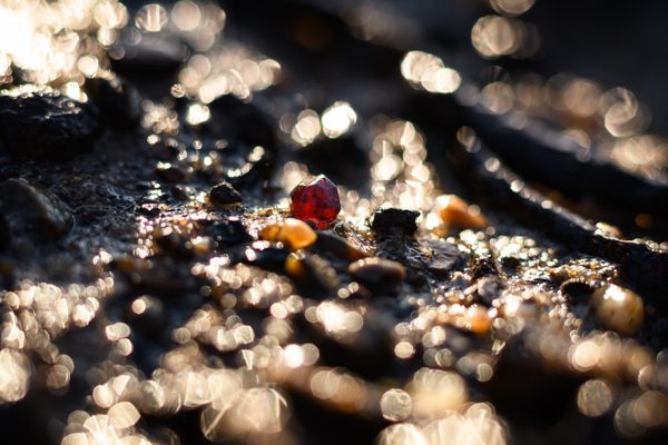 A single garnet gleams on the muddy foreshore of the River Thames.