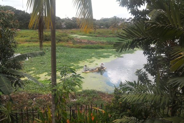Locals in Colombo can catch fish in the marsh.