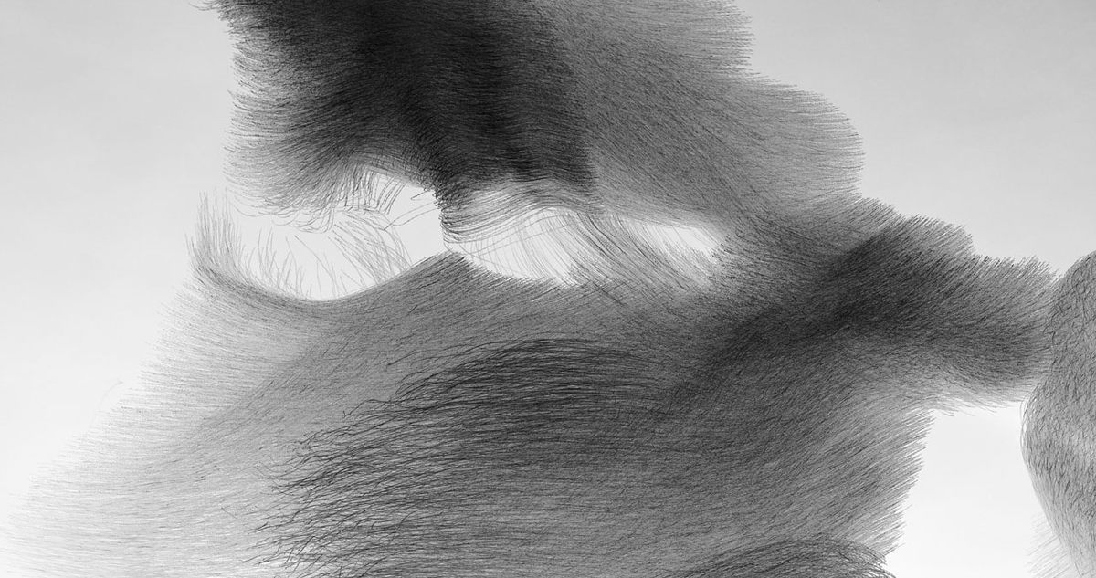 <em>Ornitography #130</em>. 