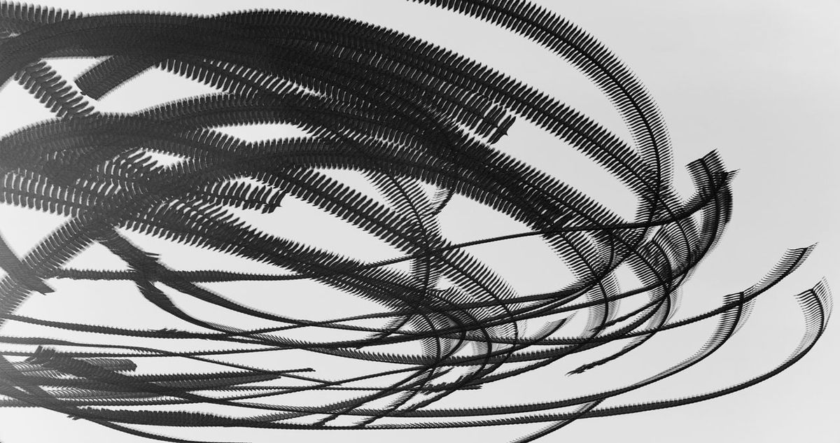 <em>Ornitography #161</em>. 