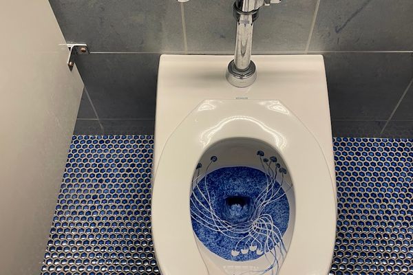 Do your business in the blue bowl of this work entitled ‘Catching the Drift.’