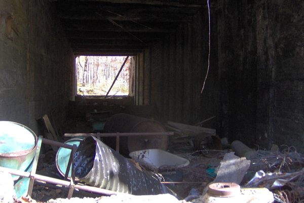 The ruins of the Ritter Lumber Company’s sawmill at Hazel Creek near Proctor.