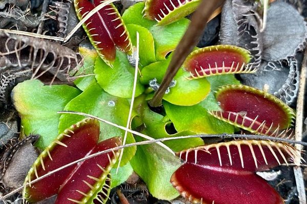 Don’t worry, they won’t bite.