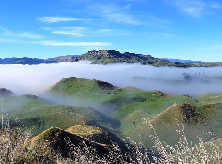 Laughing Moa Cycling Trail, River Valley