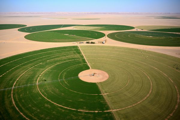 An aerial view of some of the fields at Wadi al-Dawasir.