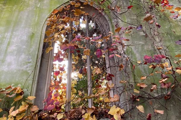 A photo from the East Church Garden.