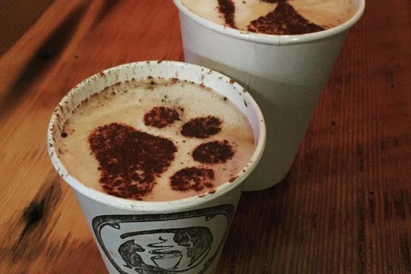 A “meowcha”, get it?